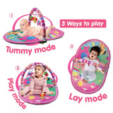 3 In 1 Deluxe Playgym, Pink For Ages 0-3 Years